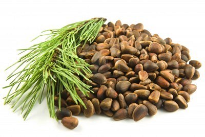 7071940-pine-nuts-and-needles-branch-on-white-background