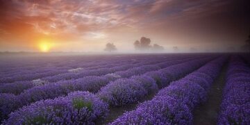 Фотовыставка «Как прекрасен этот мир»