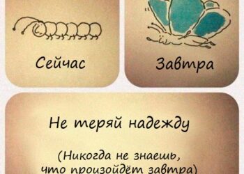 Советы родителям «Он ничего не хочет, лишь бы целый день у компьютера»