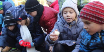 Наши новости. У каждого свой тюльпан!