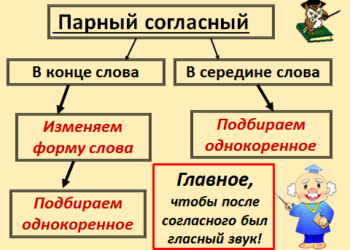 Интернет-урок по русскому языку «Парные согласные в корне слова»