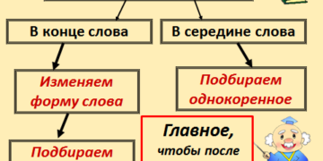 Интернет-урок по русскому языку «Парные согласные в корне слова»