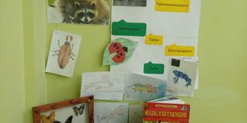 Наши новости. Мир животных.