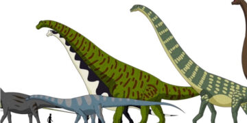 Интересно… Размеры динозавров и человека