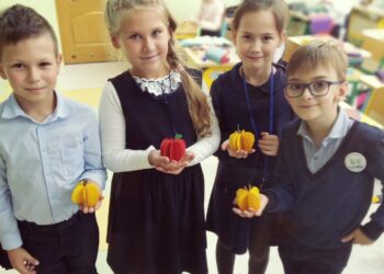 Путаница от 2Д…
