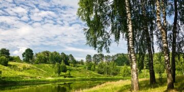 Окружающий мир. «Природа. Разнообразие природы. Её ценность»